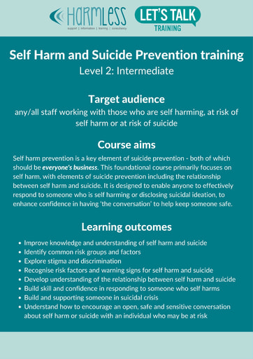 Level 2 Self Harm 2022