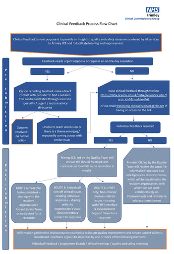 Clinical Feedback Process Flow Chart v7