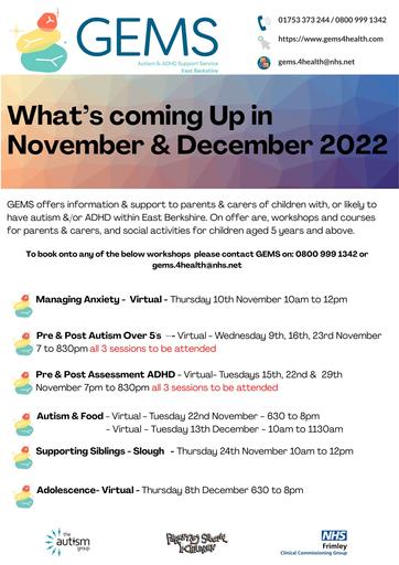 GEMS workshops Nov Dec 2022 (002)