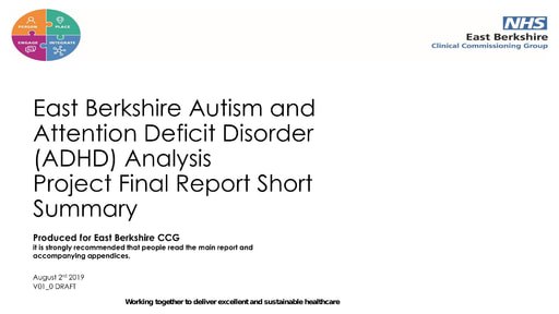 ADHD/Autism service review summary report