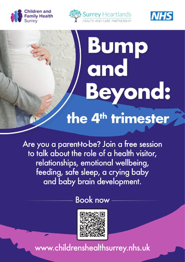 PO52688 CSH CFHS A4 Antenatal Poster Print