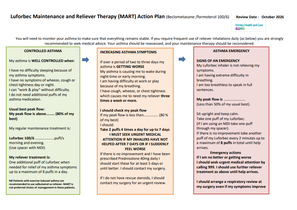 MART- action plan Luforbec